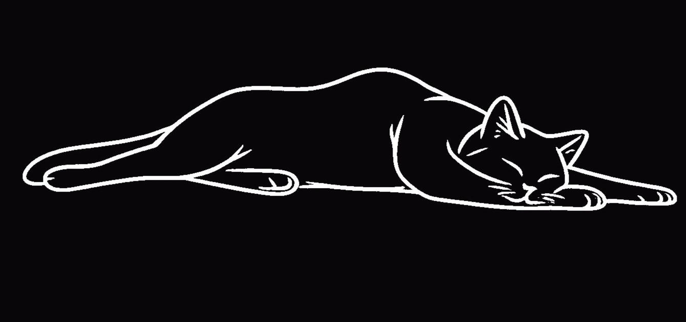 Restorative Yoga- Bring healing energy to weary joints and muscles